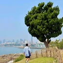 燕儿岛智慧公园 - 青岛市旅游 缩略图 2