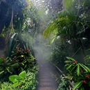 厦门·植物园 - 厦门市旅游 缩略图 4