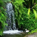 厦门·植物园 - 厦门市旅游 缩略图 2