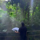 厦门·植物园 - 厦门市旅游 缩略图 3