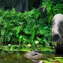 厦门·植物园 - 厦门市旅游 缩略图 7