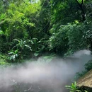 厦门·植物园 - 厦门市旅游 缩略图 6
