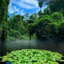 厦门·植物园 - 厦门市旅游 缩略图 9