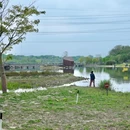 九围湿地公园 - 深圳市旅游 缩略图 9