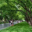 天坛公园 - 北京旅游 缩略图 1