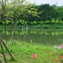 广州塔 - 广州市旅游 缩略图 5