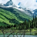 四姑娘山长坪沟景区 - 阿坝藏族羌族自治州旅游 缩略图 3