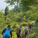 牛背山 - 台州市旅游 缩略图 2