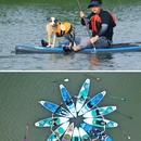 海珠国家湿地公园-海珠湖 - 广州市旅游 缩略图 4