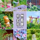 飞来峰 - 杭州市旅游 缩略图 1