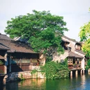 乌镇西栅景区 - 嘉兴市旅游 缩略图 7