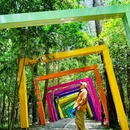 神仙居景区 - 台州旅游 缩略图 5