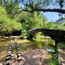 神仙居景区 - 台州旅游 缩略图 6
