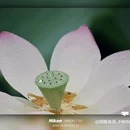 新世界中心商场 - 佛山市旅游 缩略图 3