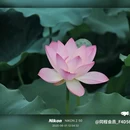 新世界中心商场 - 佛山市旅游 缩略图 5