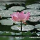 新世界中心商场 - 佛山市旅游 缩略图 1