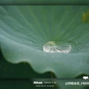 新世界中心商场 - 佛山市旅游 缩略图 2