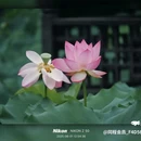 新世界中心商场 - 佛山市旅游 缩略图 7