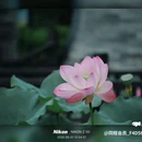 新世界中心商场 - 佛山市旅游 缩略图 6