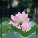 新世界中心商场 - 佛山市旅游 缩略图 9