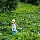 鹿野花塔 - 成都市旅游 缩略图 2