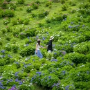 鹿野花塔 - 成都市旅游 缩略图 1