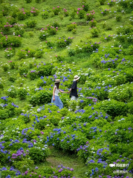 鹿野花塔 - 成都市旅游