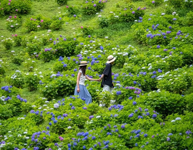 鹿野花塔 - 成都市旅游 1