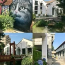东方书城(东方广场店) - 佛山市旅游 缩略图 7