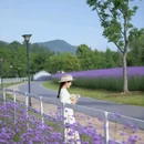 杭州植物园 - 杭州市旅游 缩略图 8