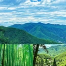 莫干山风景名胜区 - 湖州市旅游 缩略图 4