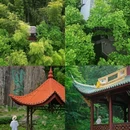 莫干山风景名胜区 - 湖州市旅游 缩略图 5