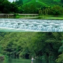 莫干山风景名胜区 - 湖州市旅游 缩略图 6