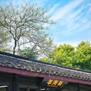 鲁迅故里-百草园 - 绍兴市旅游 缩略图 9