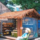 鲁迅故里-百草园 - 绍兴市旅游 缩略图 7