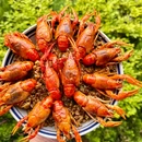 皮皮大排档·小龙虾·烧烤店 - 大连市旅游 缩略图 9