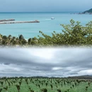 木兰湾 - 其他旅游 缩略图 6