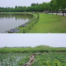 杭州湾国家湿地公园 - 宁波市旅游 缩略图 2
