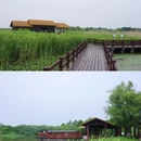 杭州湾国家湿地公园 - 宁波市旅游 缩略图 5