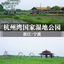 杭州湾国家湿地公园 - 宁波市旅游 缩略图 1