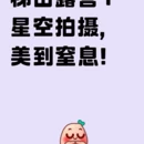 张家界旅游 缩略图 3