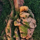 龟峰风景区 - 上饶市旅游 缩略图 2