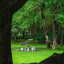 荔香公园 - 深圳市旅游 缩略图 4