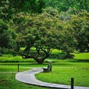 荔香公园 - 深圳市旅游 缩略图 2