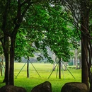 荔香公园 - 深圳市旅游 缩略图 8