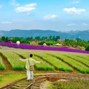 东风韵 - 红河哈尼族彝族自治州旅游 缩略图 2