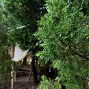 大理冬生夏设计师民宿 - 大理白族自治州旅游 缩略图 4