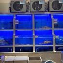 星鲜座·海鲜家常菜(星河湾店) - 上海市旅游 缩略图 8