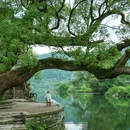 卧龙谷景区 - 上饶市旅游 缩略图 1
