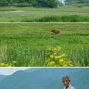 卧龙谷景区 - 上饶市旅游 缩略图 8